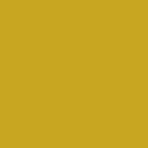 Ochre colour circle made from sustainable Polyocean embroidery thread colour 7215123 from recycled polyester